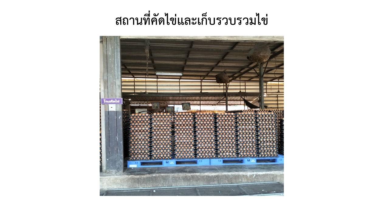 สไลด8