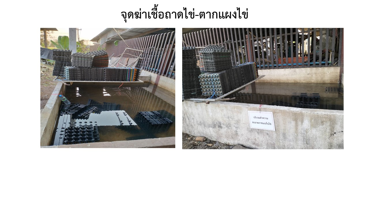 สไลด9