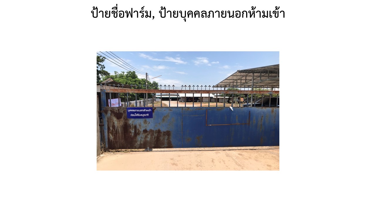 สไลด2