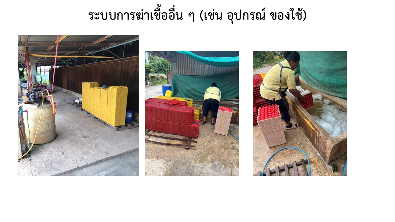 สไลด4