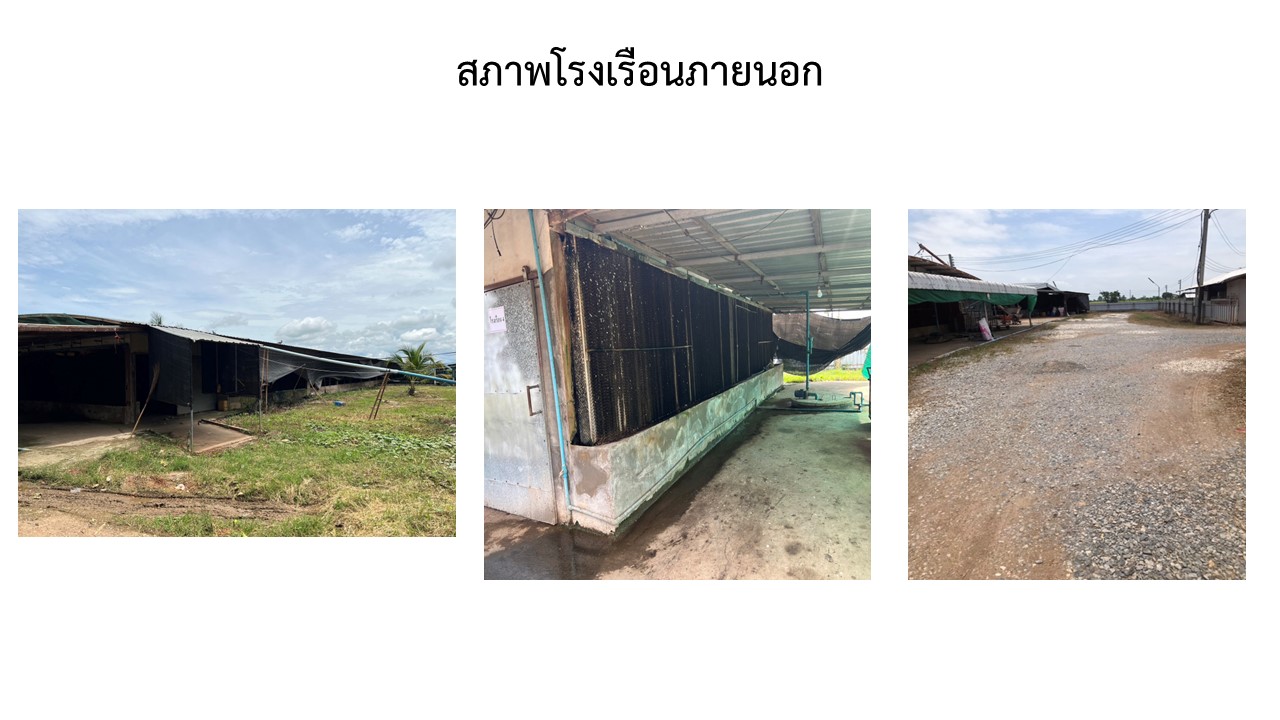 สไลด5
