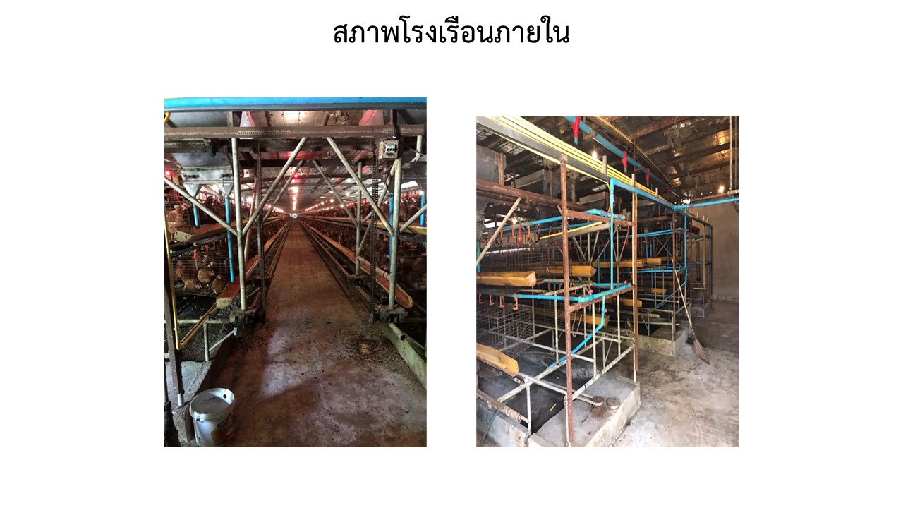 สไลด6