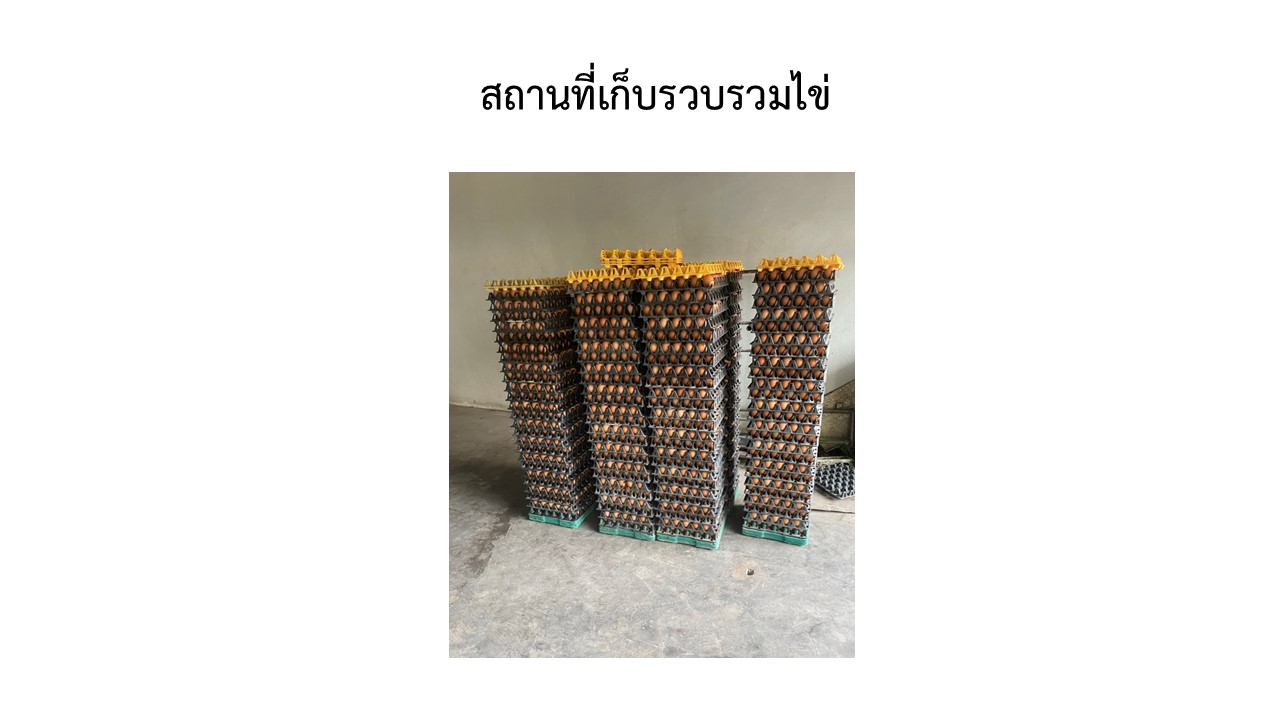 สไลด7