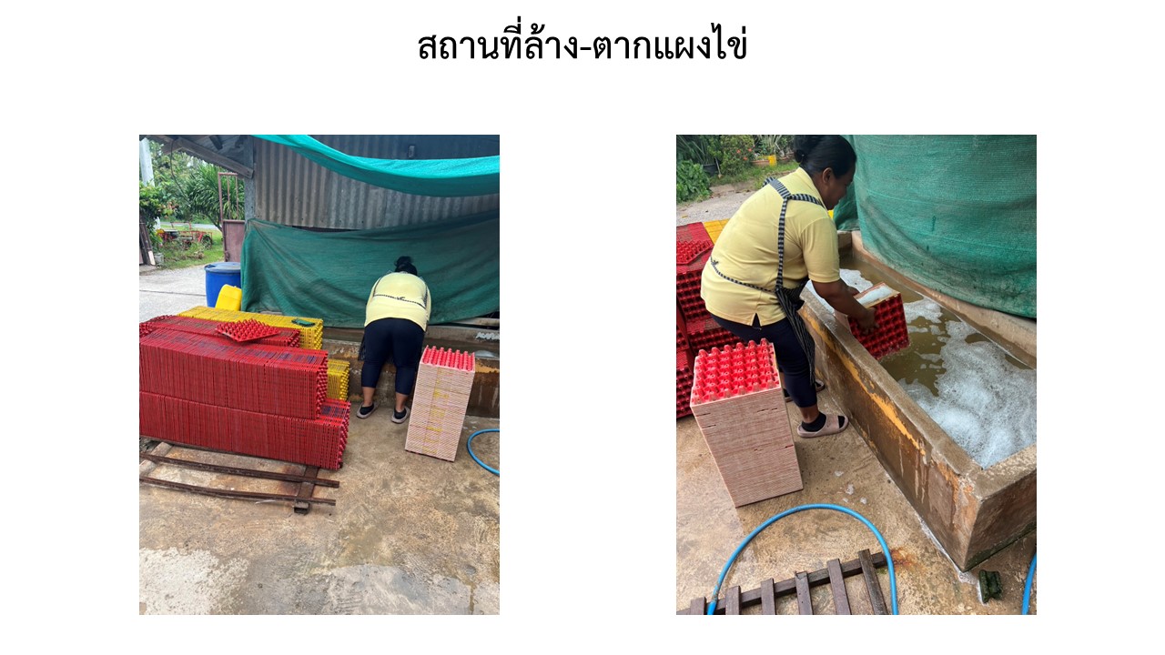 สไลด8