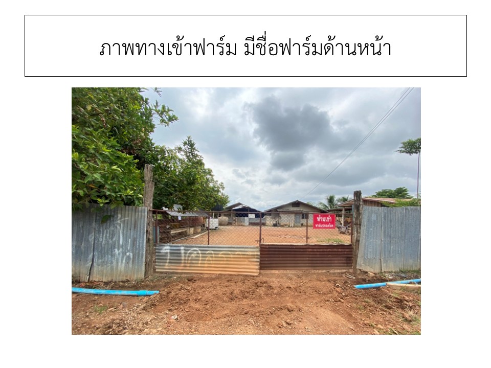 สไลด1