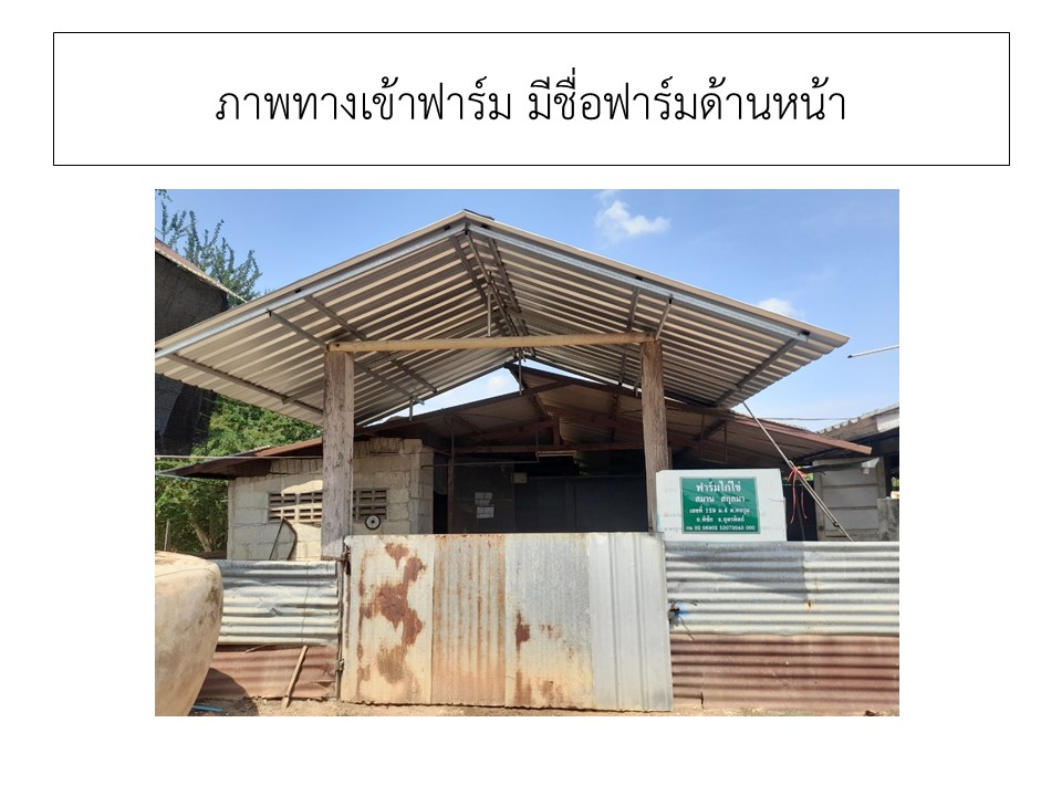 สไลด2