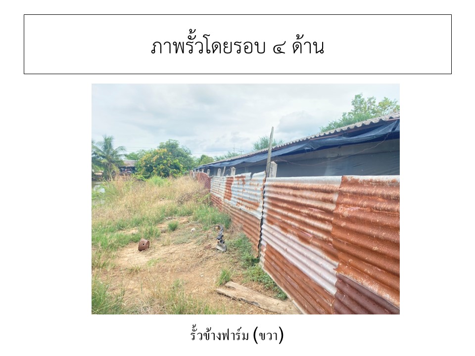 สไลด4