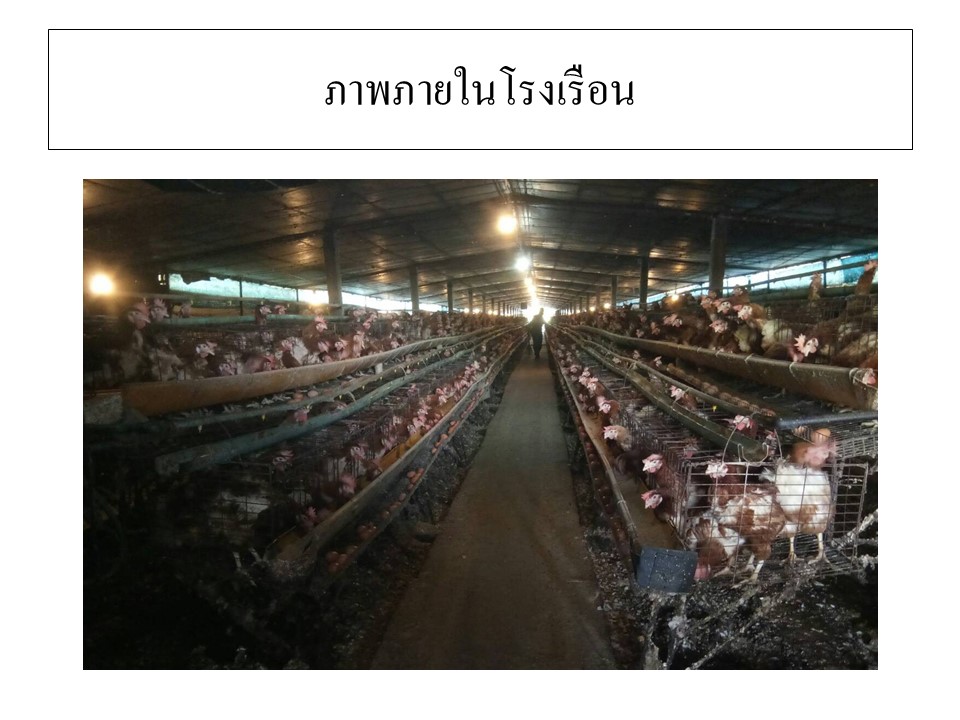 สไลด6