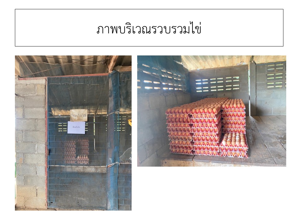 สไลด8