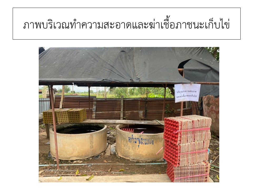 สไลด9