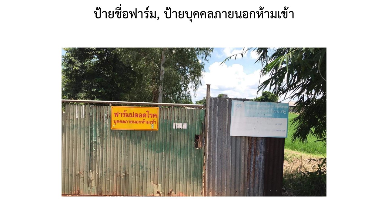 สไลด2