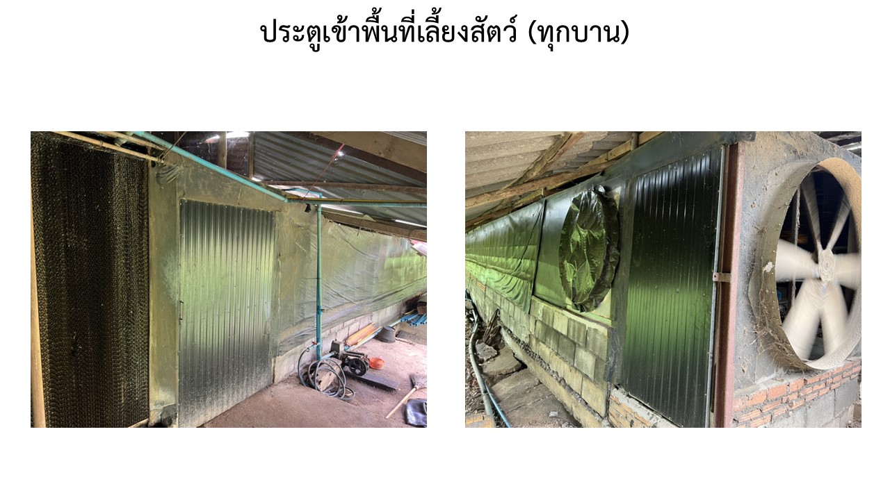 สไลด3