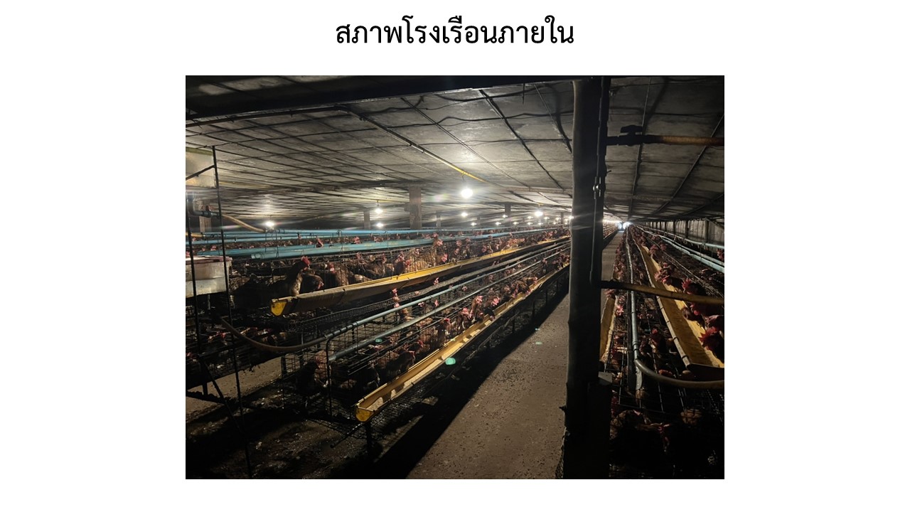 สไลด5