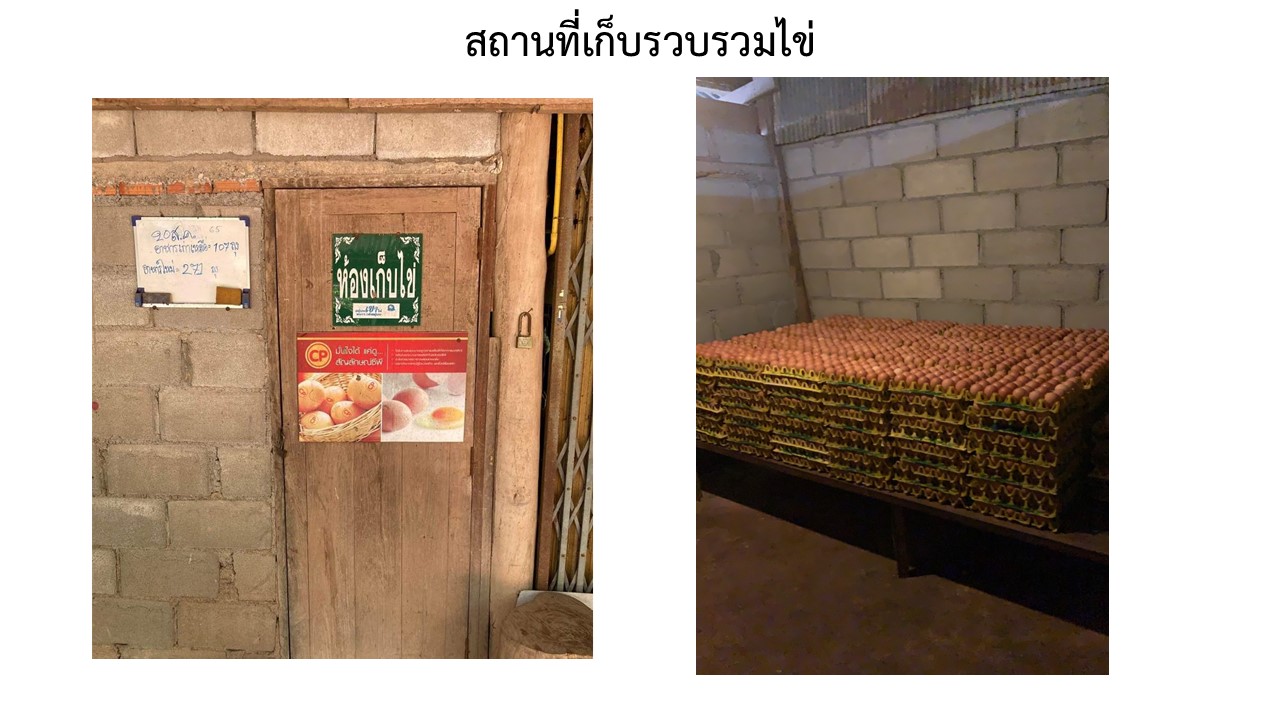 สไลด6