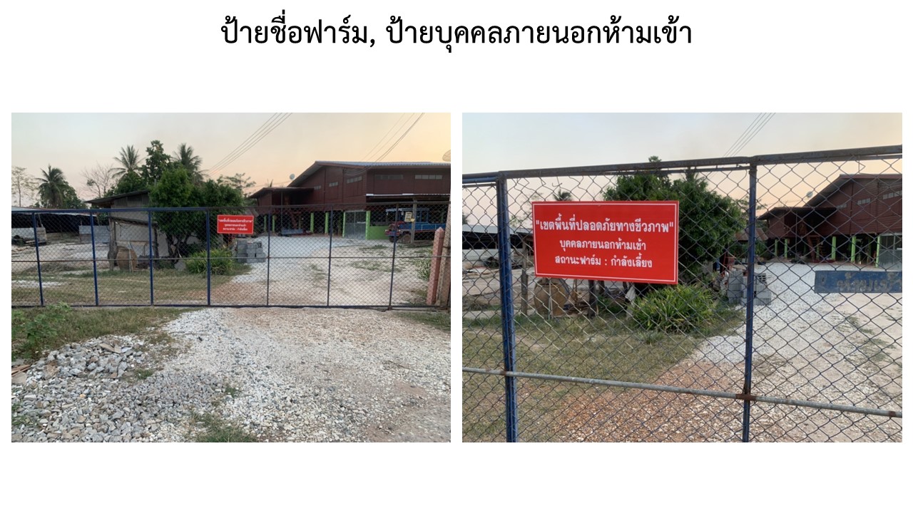 สไลด2