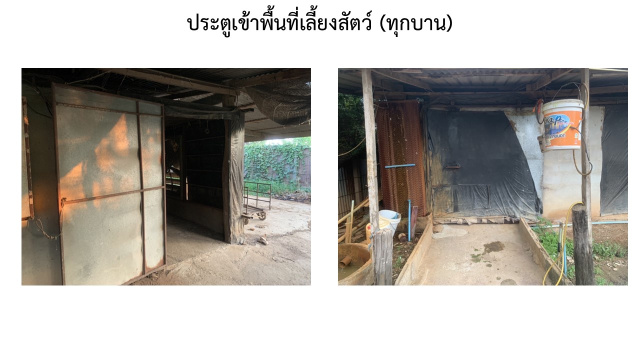 สไลด3