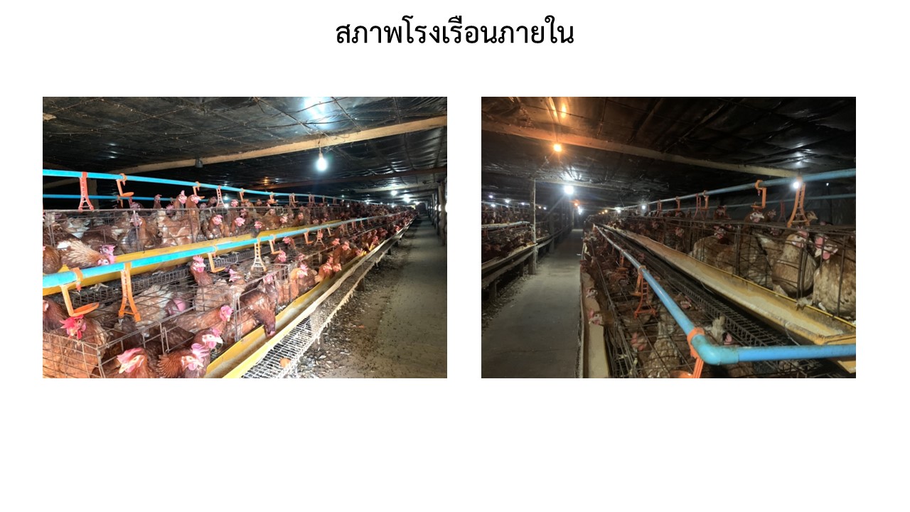 สไลด5