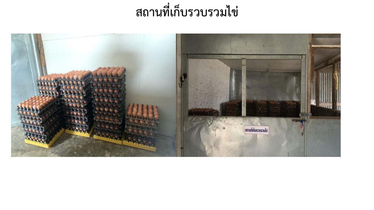 สไลด6