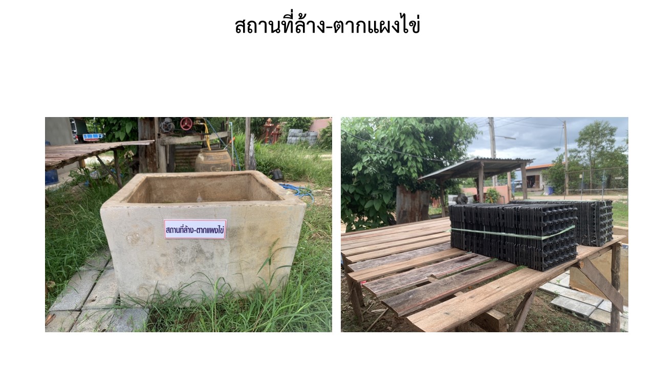 สไลด7