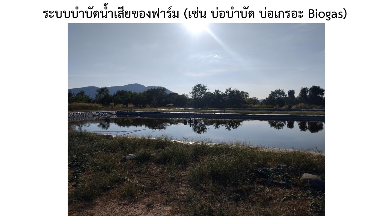 สไลด10