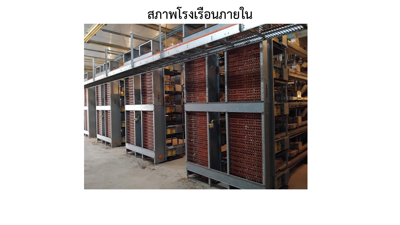 สไลด7