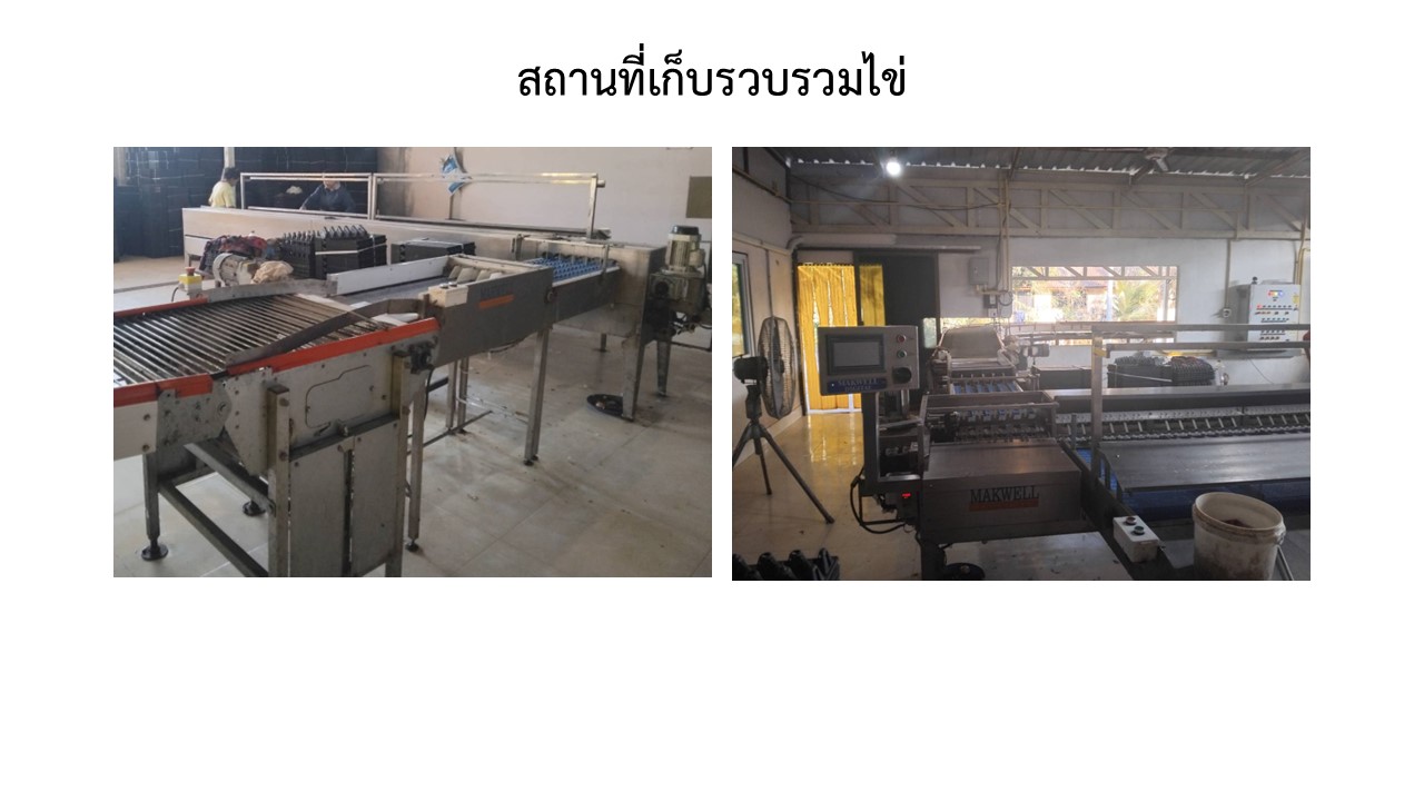 สไลด8