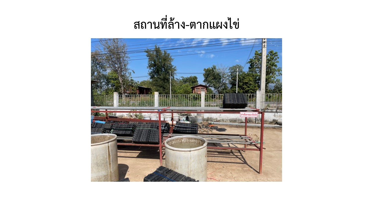 สไลด9