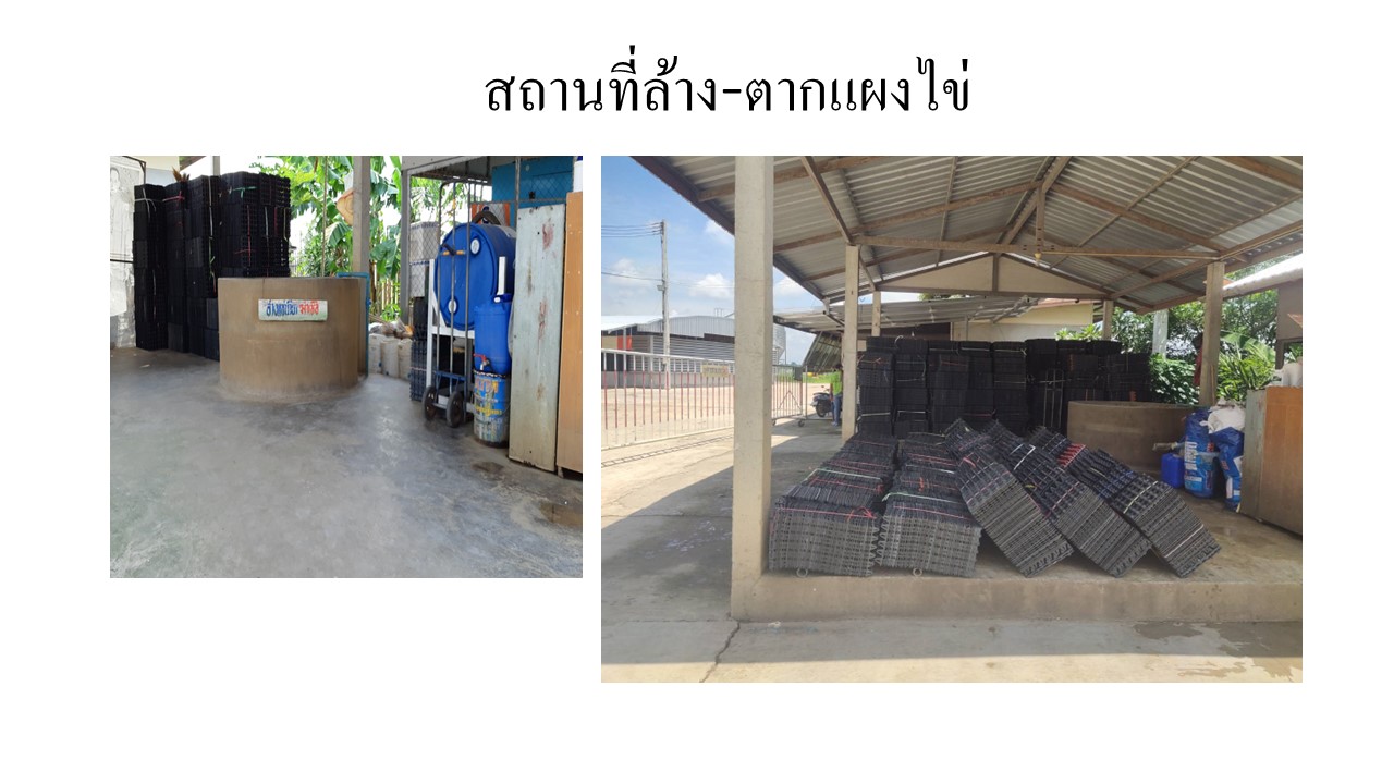 สไลด11