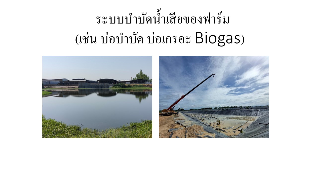 สไลด12