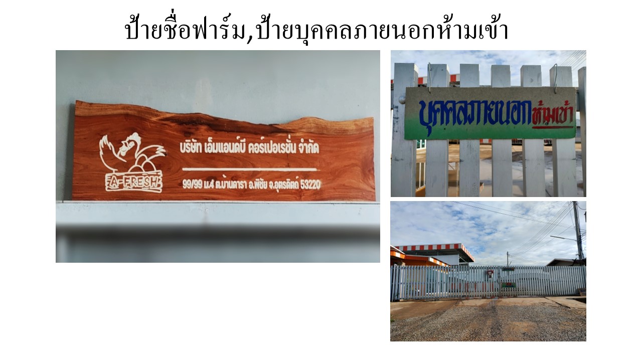 สไลด2