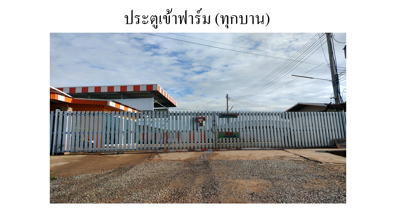 สไลด3