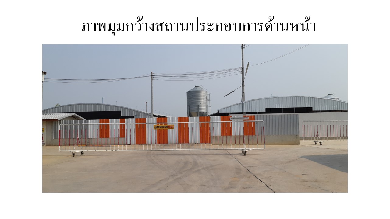 สไลด4