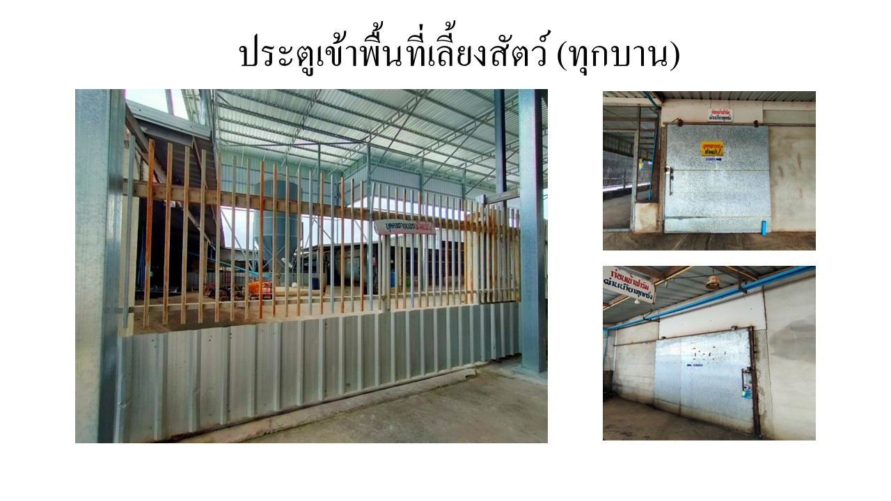 สไลด5
