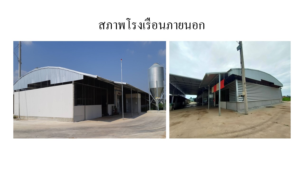 สไลด8