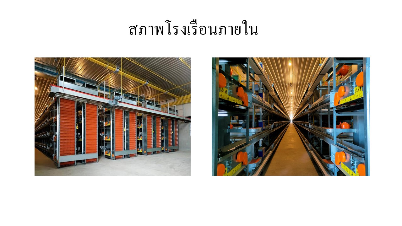 สไลด9