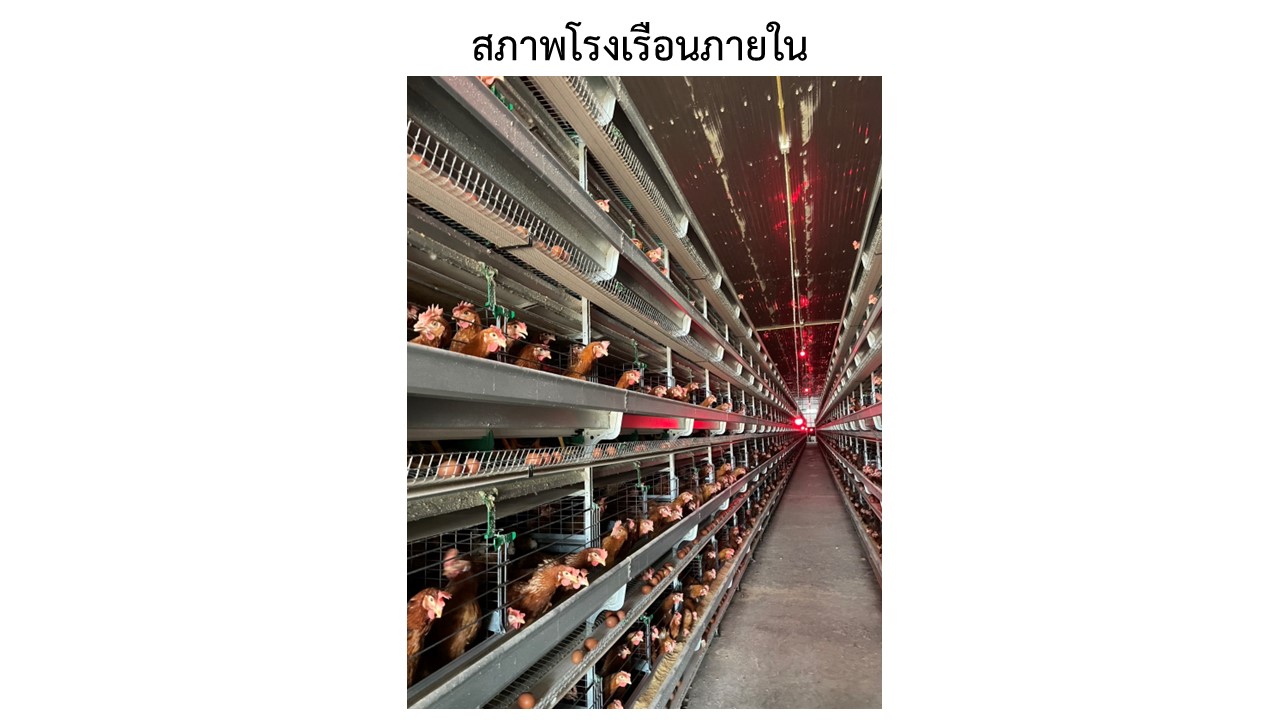สไลด10