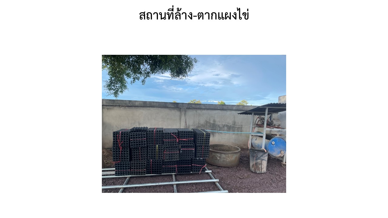 สไลด13