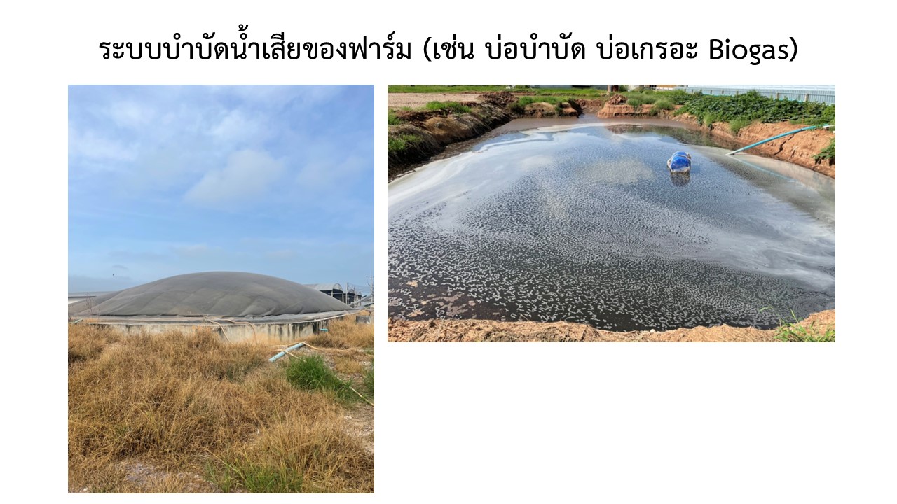 สไลด14