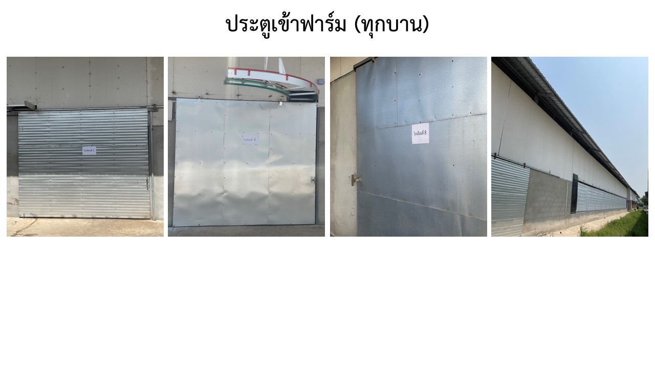 สไลด4