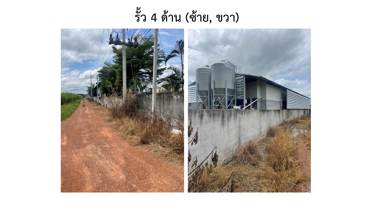 สไลด6