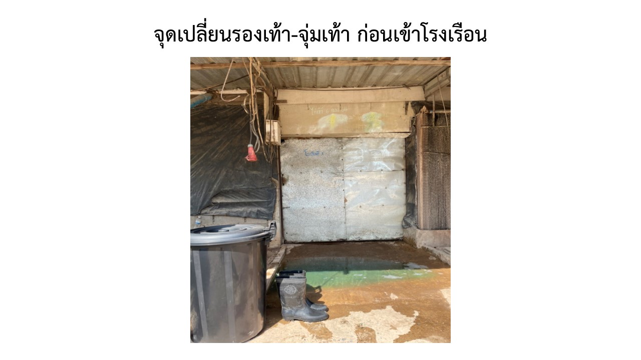 สไลด8