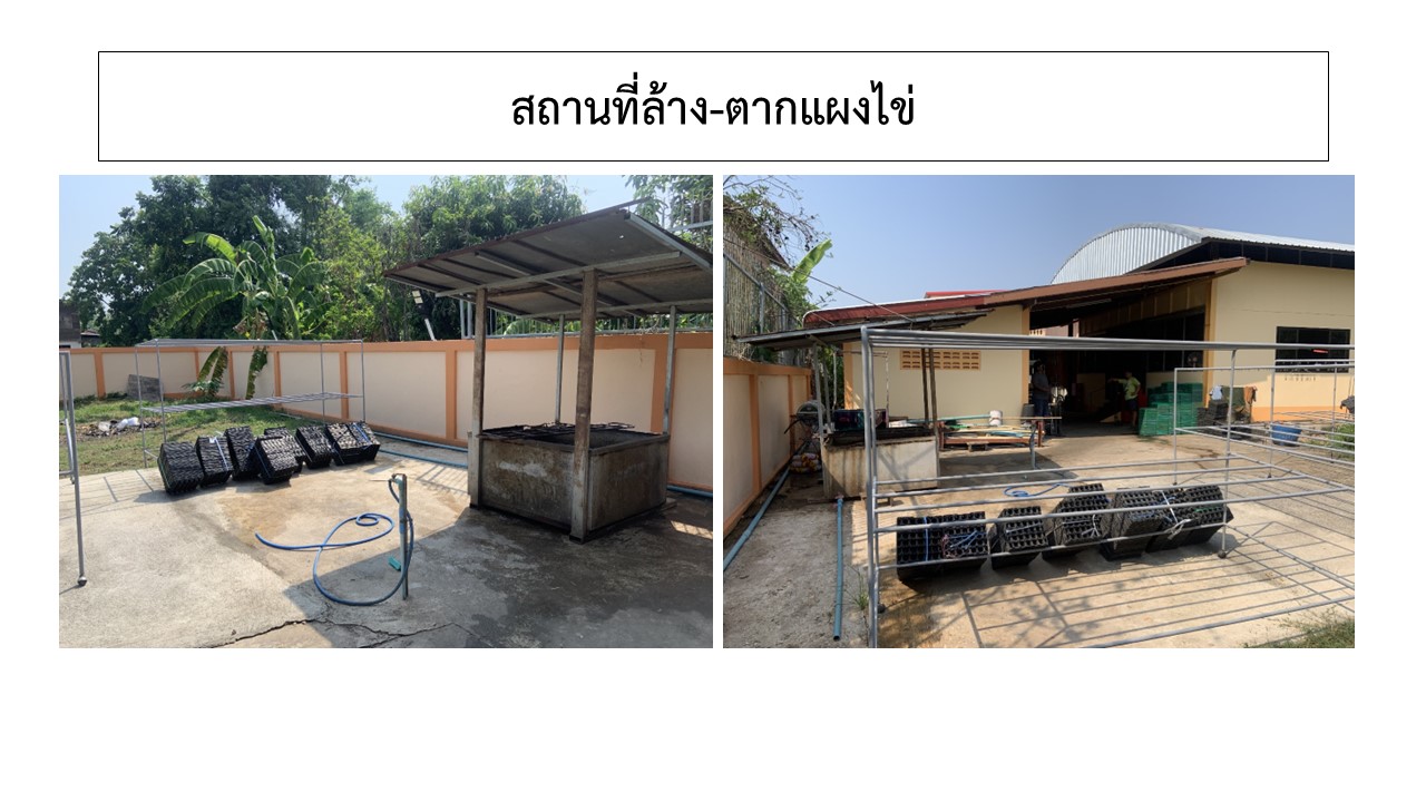 สไลด10
