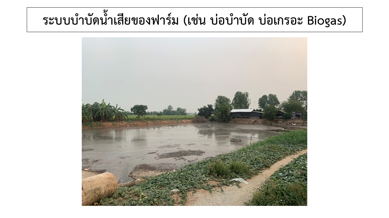 สไลด11