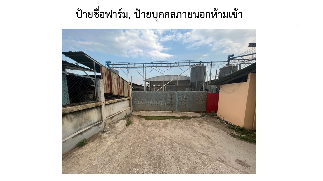 สไลด3