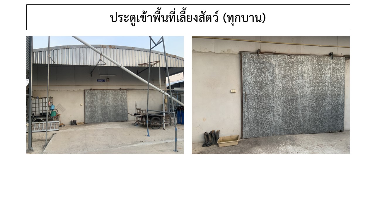 สไลด4