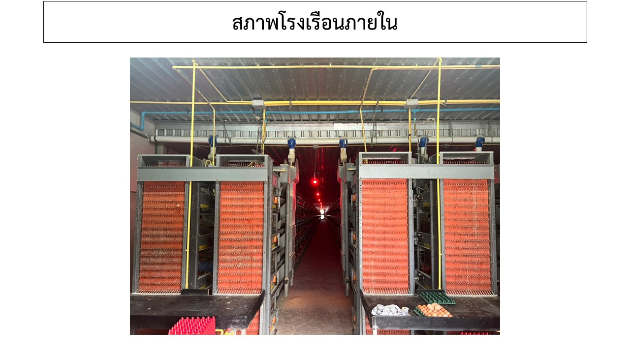 สไลด7