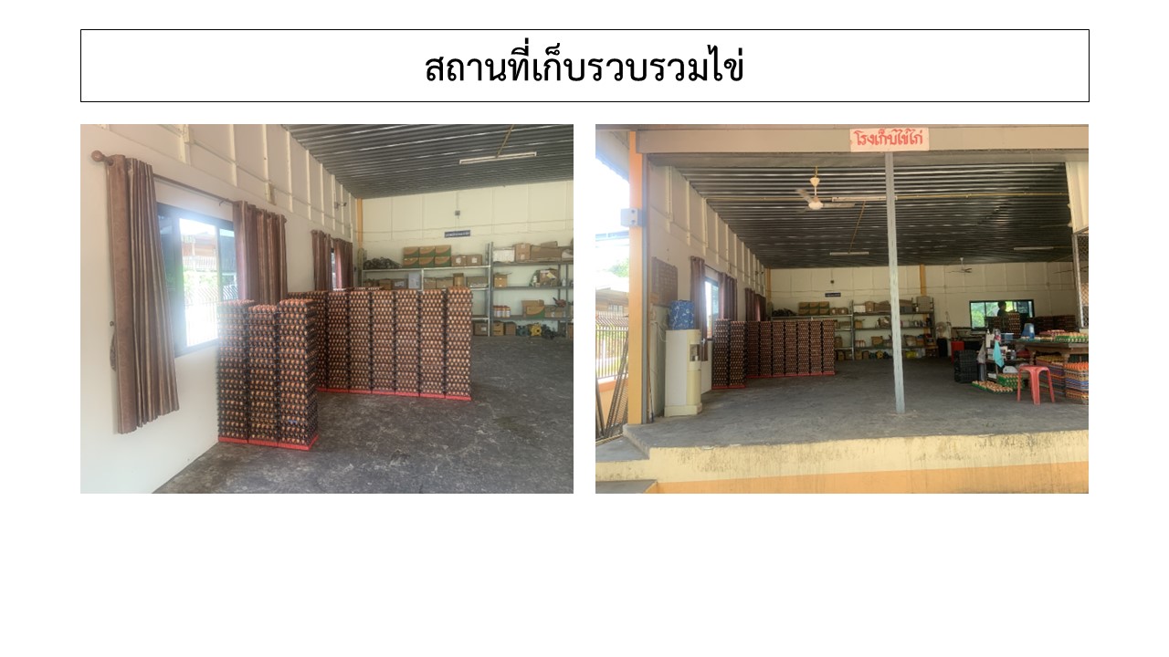 สไลด9
